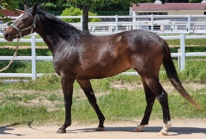 ������ ����