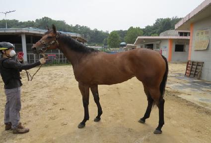 õ��ȣ�� ����