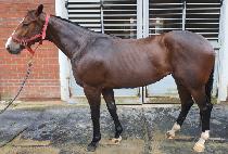 ���ɸӴ��� (BORYEONGMONEYQUEEN) ����