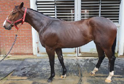 ���ɸӴ��� ����