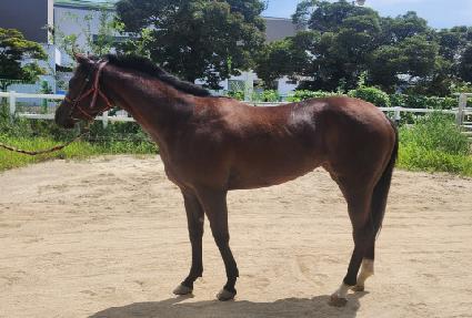 �Ŀ±۷θ� ����