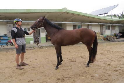 ����巡�� ����