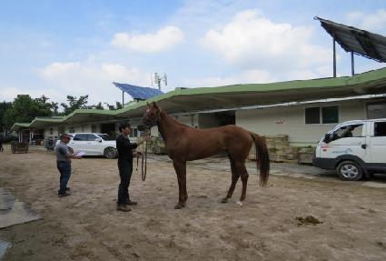 �������̵� ����