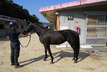 �������Ŀ� (ENERGY POWER) ����