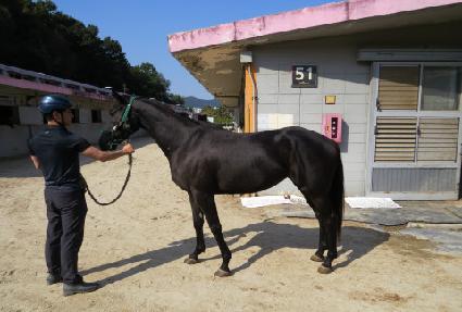 �������Ŀ� ����