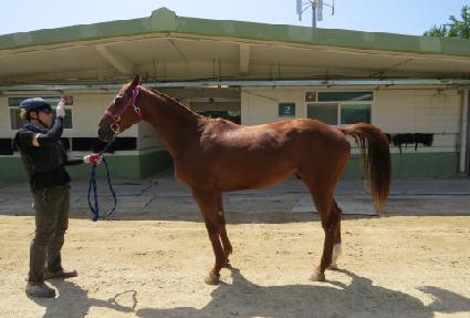 �����󵵳�� ����