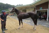 ��������Ƽ (ELDORADO PARTY) ����