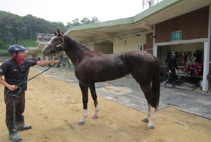 ��������Ƽ ����