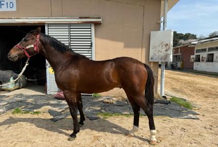 ���̾ƿ��� ����