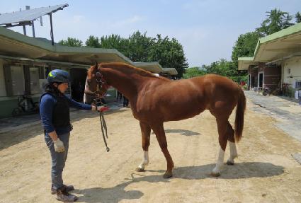 ��ϻ�� ����