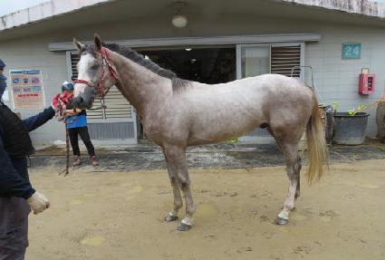 ��Ƽ�� ����