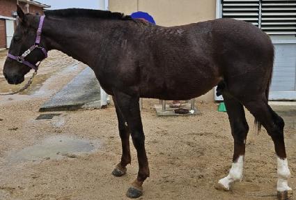 �帣��� ����