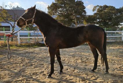 ���ϸ� ����