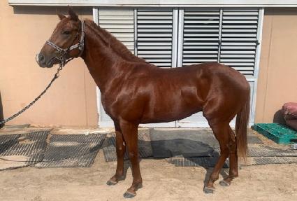 �ٺ������� ����