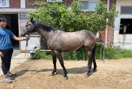 ����Ʈ���� ����