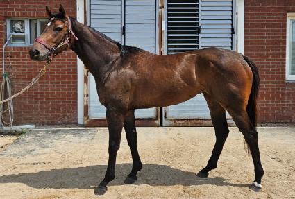 ������� ����