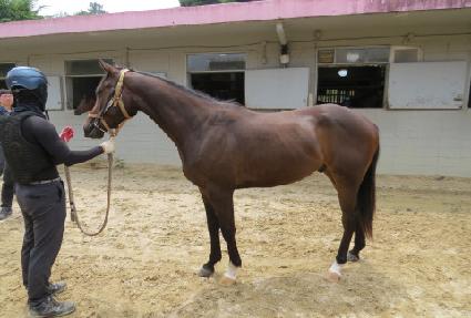 ���Էο��� ����