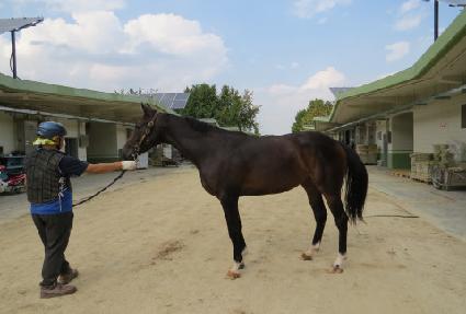 ���� ����