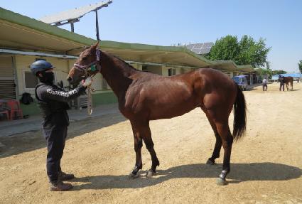 ������� ����