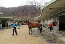 �ǹ����� (SILVER RAIN) ����