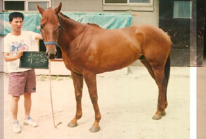 ���׸� ����