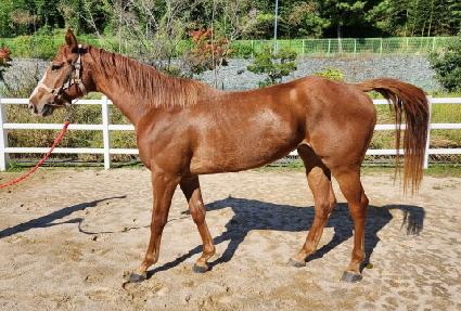 ����Ǯ�׹�ũ ����