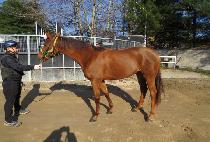 �۷ι���� (GLOBAL GISANG) ����