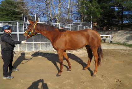 �۷ι���� ����