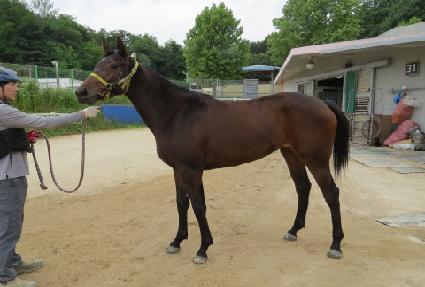 ī������ ����