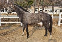 ����Ʈ�� (WE STRONG) ����