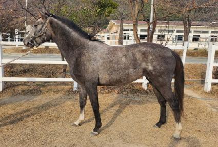 ����Ʈ�� ����