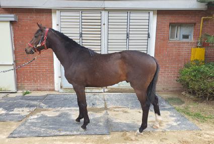 �������丶 ����