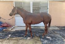 �ݺ������� (GEUMBIT TODAY) ����