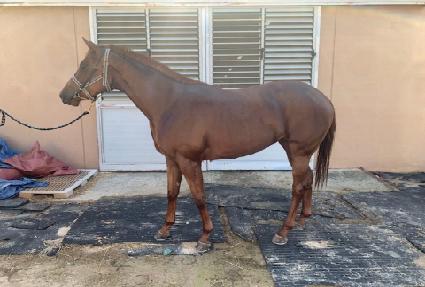 �ݺ������� ����