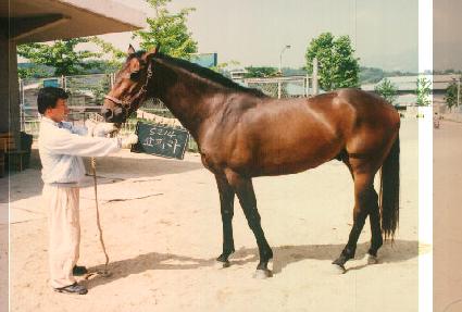 ���Ķ� ����