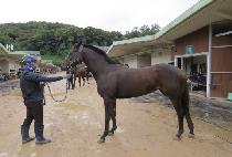 ���� (BYEOKSONG) ����