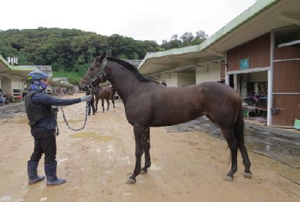 ���� ����