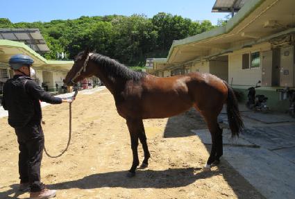 Ŭ��ť ����