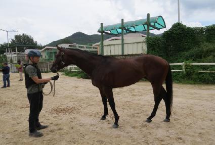 ����Ÿ�� ����