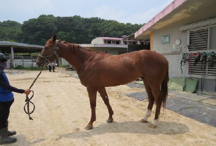 ��Ű���� ����