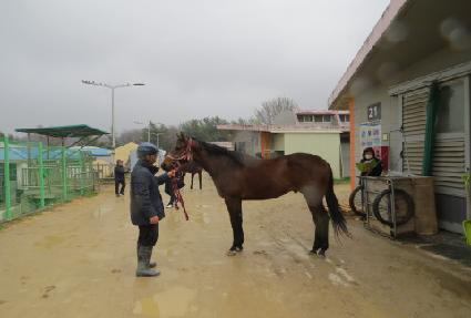 �������� ����