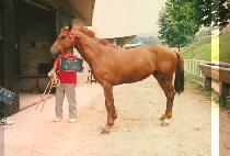 ȹ�� (HWEK DEUK) ����