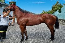 ��ǻ����ġ (COMPUTER PATCH) ����