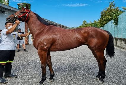 ��ǻ����ġ ����