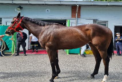 ŷ���ǵ� ����