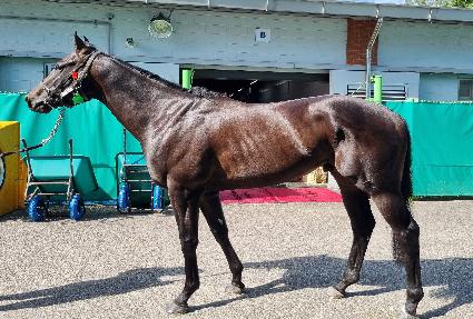 �Ƴ��� ����