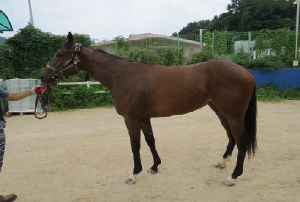 ��Ÿ��ƽ���� ����