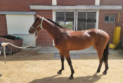 �׷���Ʈ���� ����