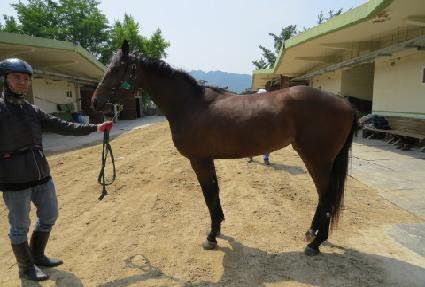 �ż����� ����