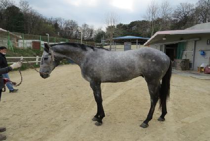 ���ý�Ÿ�� ����